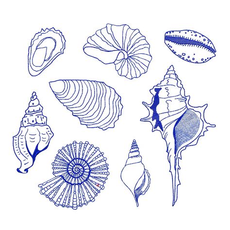 Chinoiserie Shell Set for Machine Embroidery, 8 Nautical Conch Marine Ocean Sea Fish Crab Design Pattern Instant Download ZIP Any Size - Etsy Sea Shell Graphic Design, Shell Embroidery Design, Embroidery Shells, Embroidery Free Pattern, Embroidery Ocean, Seashell Embroidery, Ocean Embroidery, Shell Embroidery, Crab Design