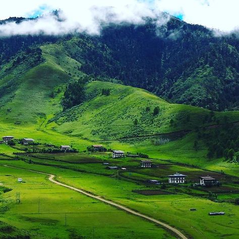 Amazing Bhutan (@amazing_bhutan) • Instagram photos and videos Bhutan, Take Me Home, South Asia, National Forest, Golf Courses, Beautiful Places, Country Roads, Forest, Natural Landmarks