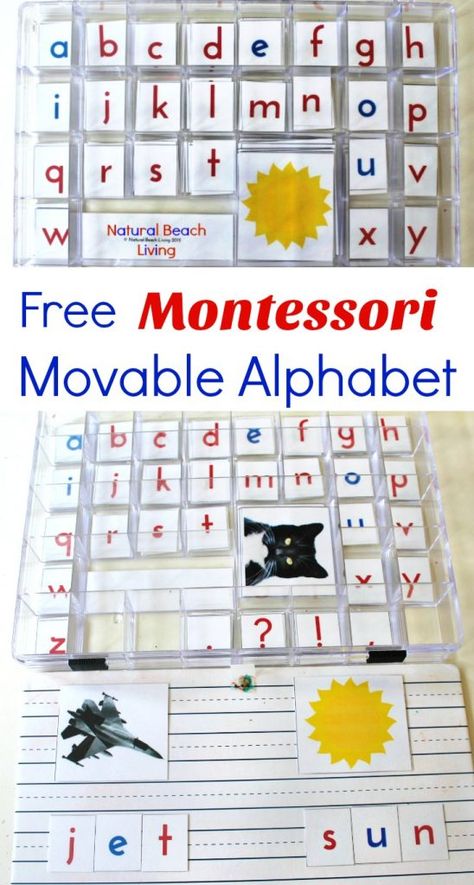 DIY Montessori Movable Alphabet (Free Printables) Alphabet Picture Cards, Montessori Preschool Activities, Vpk Activities, Montessori Alphabet, Kindergarten Montessori, Montessori Activities Preschool, Montessori Language, Montessori Printables, Montessori Elementary