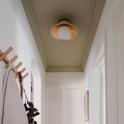 Ceiling Painted Different Color, Colour Painted Ceiling, Painted Coving Contrast, Painted Ceiling In Hallway, Long Narrow Dark Hallway Ideas, Small Hallway Ceiling Ideas, Painted Ceiling Corridor, Ceiling Hallway Design, Hallway Colors Narrow