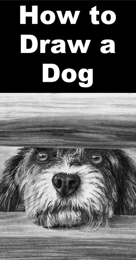 how-to-draw-a-dog-in-pencil-pin How To Draw Cool Stuff, How To Draw Sky, How To Draw Dogs, Draw Dark, Dog Drawing Tutorial, Drawing Sky, Draw A Dog, Realistic Eye Drawing, Eye Drawings