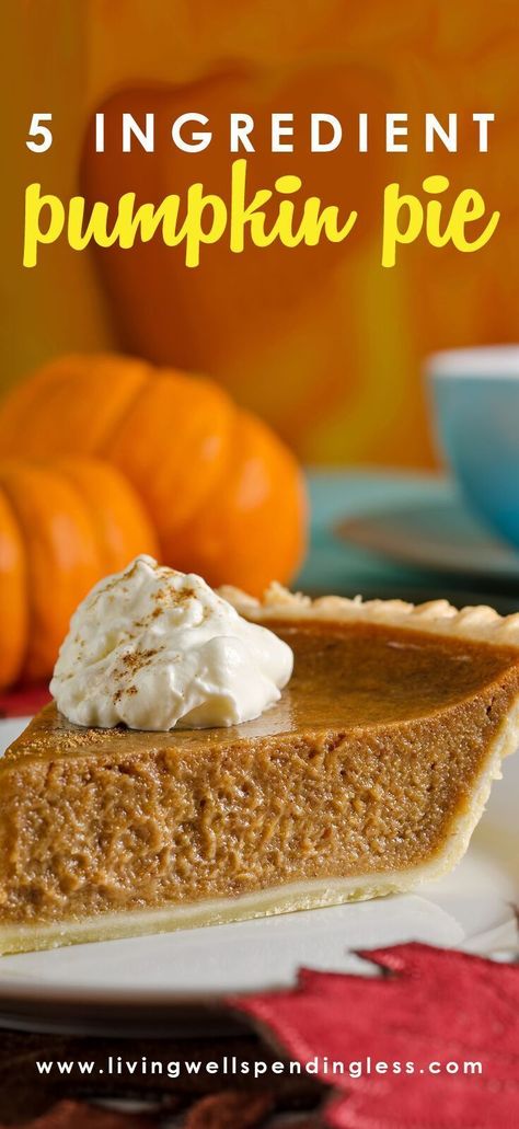 This oh-so-easy pumpkin pie literally comes together in just five minutes of hands on time, but provides all the homemade flavor you crave! AND it has only 5 ingredients! #livingwellspendingless #LWSL #pumpkinpie #5ingredientsorless #pumpkin #pie #easydessert #holidayrecipe Libbys Pumpkin Pie, Best Pumpkin Pie Recipe, Pumpkin Pie Recipe Easy, Perfect Pumpkin Pie, Paleo Snack, Fresh Strawberry Pie, Best Pumpkin Pie, Easy Pumpkin Pie, Pumpkin Pie Recipe