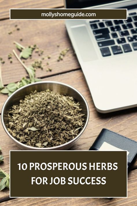 Explore the power of magical herbs for success in your career and business endeavors. Incorporate these potent herbs to attract prosperity, abundance, and good fortune into your life. Discover the benefits of using herbs for job success and growing your business with positive energy. Enhance your wealth with nature's remedies by utilizing herbs specifically selected for fostering growth and achieving prosperity in all areas of your professional life. Elevate your chances for success by incorpora Herbs For Success, Growing Thyme, Growing Cilantro, Job Success, Magical Herbs, Culinary Skills, Career Growth, Good Fortune, New Job