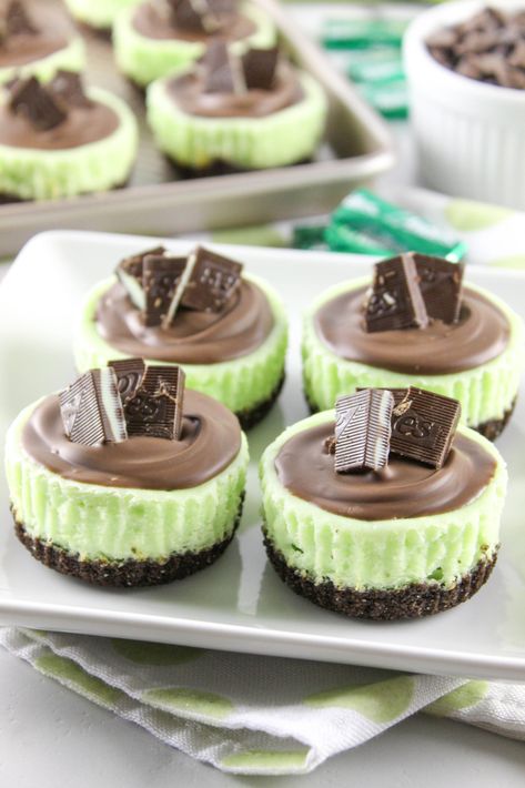 Andies Candies Cheesecake, Mini Mint Cheesecake, Andes Mint Mini Cheesecakes, Mini Cheesecake Decoration, Mint Cheesecake Recipes, Andes Mint Cheesecake, Andes Mint Recipes, Mint Dessert, Mint Chocolate Cheesecake