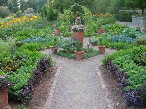 Kitchen Garden, Denver Botanic Gardens Urban Gardening Ideas, Kitchen Gardens, Urban Garden Design, Vegetables To Grow, Vegetable Garden Tips, Denver Botanic Gardens, Potager Garden, Vegetable Gardens, Community Garden