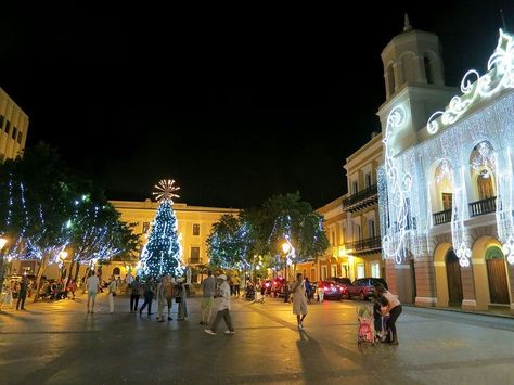 Puerto Rico Christmas, Christmas In Puerto Rico, Living In Puerto Rico, Puerto Rico Vacation, Christmas Lesson, Mormon Temple, Kings Day, San Juan Puerto Rico, Three Kings