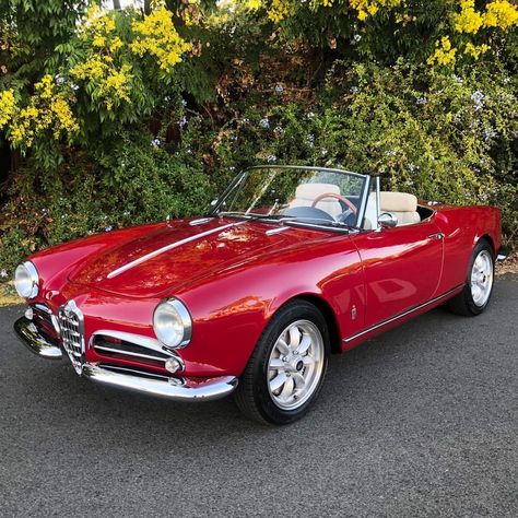 Beverly Hills Car Club Inc. on Instagram: “Yes or No to this Alfa Romeo? 1960 Alfa Romeo Giulietta Spider Available in Red with Beige interior. $52,500 📩 #DM for more information.” Vintage Alfa Romeo, Classic Alfa Romeo, 1960 Cars, Alfa Romeo Vintage, Alfa Romeo Giulietta Spider, Alfa Romeo Giulia Quadrifoglio, Bmw Classic Cars, Alfa Romeo Spider, Alfa Romeo Giulietta