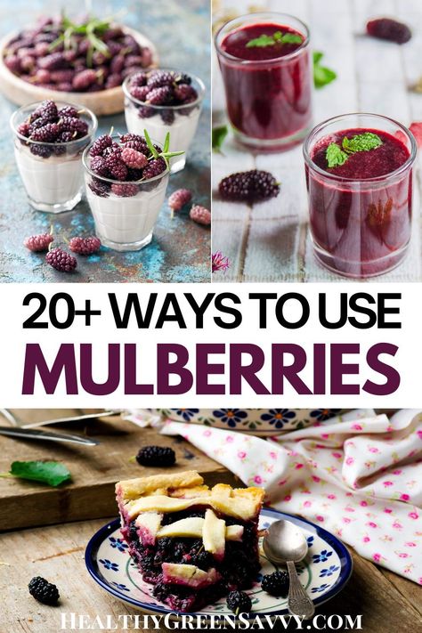 Mulberries are a delicious foraged superfood loaded with healthy antioxidants. Best of all, you can probably get them for free in your neighborhood. Find out what to know about foraging and preparing mulberries and try them in one of these delicious recipes! #mulberries #foraging | mulberry | mulberry recipes | foraging fruit | edible wild plants | Seasonal Eating Recipes, Mulberry Benefits, Mulberry Jam, Mulberry Recipes, Mulberry Fruit, Edible Weeds, Seasonal Eating, Foraging Recipes, Edible Wild Plants