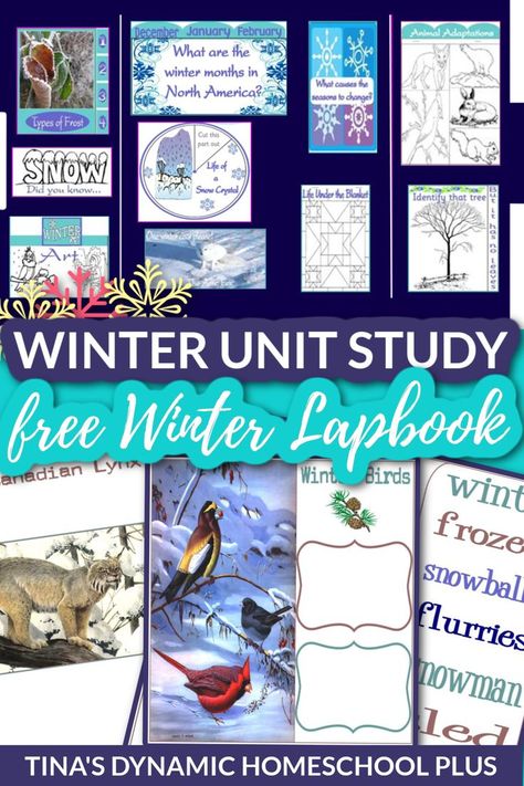 Free Amazing Winter Unit Study and Winter Lapbook for Kids What Causes Seasons, Winter Unit Study, Winter Homeschool, Notebooking Pages, Texas Winter, Winter Science, Unit Studies Homeschool, Winter Unit, Animal Adaptations