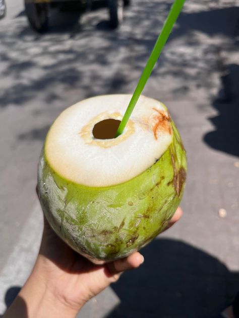 Coconut Water Snap, Coconut Snap, Indian Fast Food, Green Coconut, Coffee Shake, Streak Ideas, Funny Snaps, Snap Streak Ideas Easy, Instagram Dp