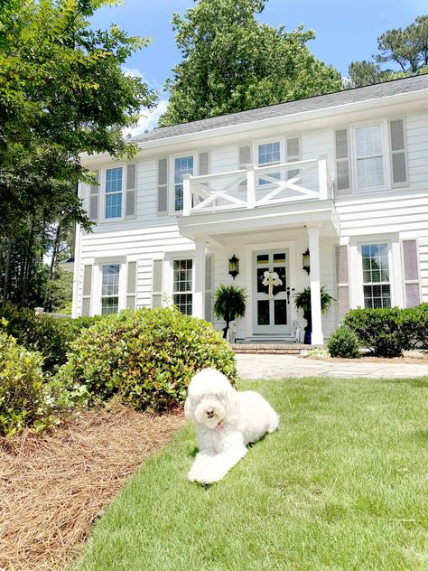 Benjamin Moore Exterior Paint, Home Exterior Paint, Benjamin Moore Exterior, White Colonial, Colonial House Exteriors, Shutter Colors, White Exterior Houses, House Paint Color Combination, House Shutters