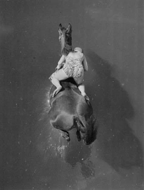 20 Incredible Vintage Photographs of Women Diving Horses in Atlantic City From the Early 20th Century ~ vintage everyday Horse Diving, Diving Into Water, Woman On Horse, Rare Historical Photos, Diving Gear, All The Pretty Horses, The Wild West, Horse Training, Female Photographers