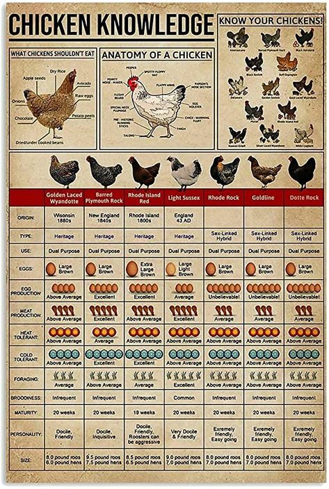 Chicken Coop Out Of Dresser, Chicken Knowledge, Bathroom Cottage, Rustic Man Cave, Knowledge Poster, Backyard Chicken Farming, Raising Backyard Chickens, Cottage Farm, Retro Tin Signs