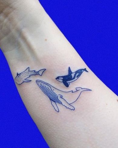 Shark Tattoos, Tattoos Inspo, Śliczne Tatuaże, Tiny Tattoo, Tattoo Board, Tattoo Me, Aesthetic Tattoo, Japanese Graphic Design, Tattoo Inspirations