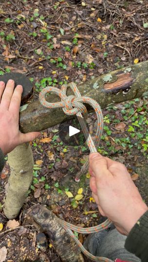 170K views · 385 reactions | Highwayman’s hitch. A quick release hitch useful for temporarily securing a horse or cow or sheep or dog or goat or pig, or boat . This hitch can capsise if you heavily load it . #knots #rope #farm #horses #camplife #outdoors #rural #tutorial | Perry trees | Greta Van Fleet · Highway Tune Quick Release Knot Horses, Quick Release Knot, Farm Horses, Knots Guide, Camping Life, A Horse, Quick Release, Goats, Sheep