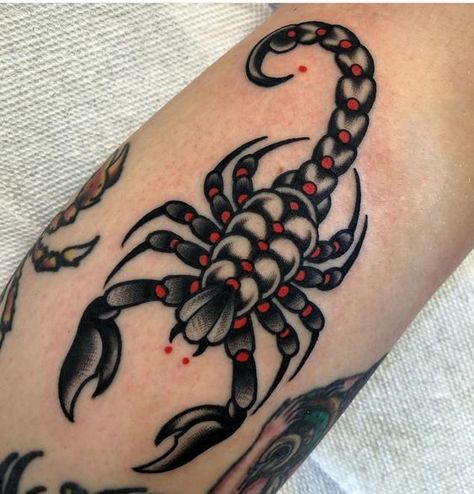 Are you a creative person looking for unique tattoo ideas? We’ve collected for you more than 50 trash polka tattoo designs for men and women. Neo Traditional Scorpion Tattoo, American Traditional Spider Tattoo, Scorpion Tattoo Traditional, American Traditional Scorpion Tattoo, Traditional Scorpion Tattoo, Trash Polka Tattoo Designs, Traditional Black Tattoo, Traditional Tattoo Inspiration, Traditional Style Tattoo