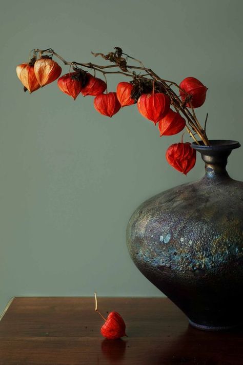 Chinese Lanterns Plant, Big Vase, Arreglos Ikebana, Vase Ideas, Ikebana Flower Arrangement, Chinese Lantern, Chinese Lanterns, Deco Floral, Still Life Art