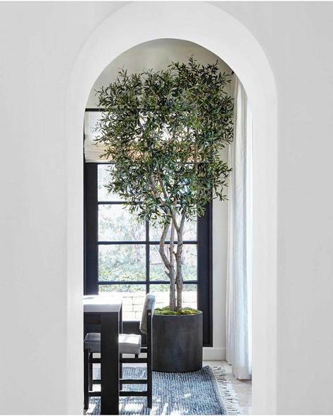 Minimal Dining Room, Easy House Plants, Indoor Tree, Study Room Design, Concrete Countertops Kitchen, Indoor Trees, Faux Tree, Amber Interiors, Modern Farmhouse Kitchens