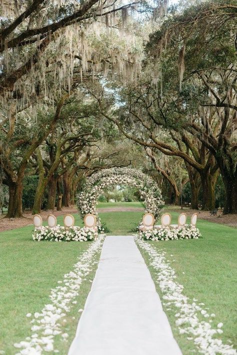 Tree Wedding Ceremony, Willow Tree Wedding, Oak Tree Wedding, Wedding Venue Inspiration, Bridal Musings, Oak Trees, Southern Weddings, Tree Wedding, Southern Wedding