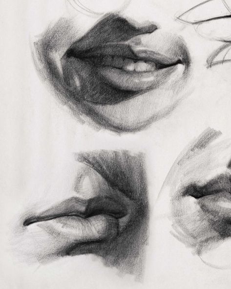 A private demo I did a while back on the structure of lips. I also have a video lesson on it at proko.com/10

#drawing #anatomy #tutorial #proko Drawing Anatomy Tutorial, Hatch Drawing, Lips Sketch, Drawing Anatomy, Lip Drawing, Abstract Portrait Painting, Anatomy Tutorial, Face Drawing Reference, Human Figure Drawing