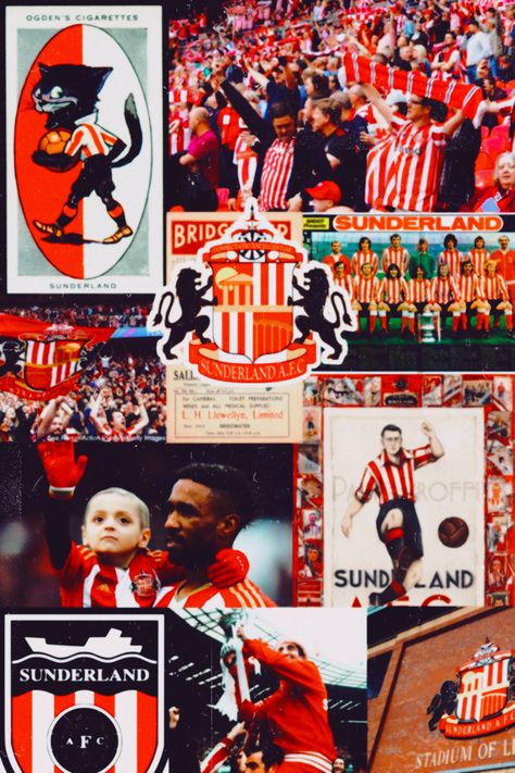 #sunderland #premierleague #futebol #background #wallpaper #stadiumofligth #wembley Sunderland Afc Wallpaper, Sunderland Wallpaper, Sunderland Football, Sunderland Afc, Football Wallpapers, Sports Books, Football Quotes, Football Lovers, Football Wallpaper