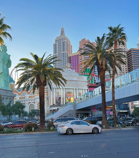 vegas strip, palm trees, vegas girls trip, vegas vacation Vegas Palm Trees, Vegas Girls Trip, Vegas Vacation, Vegas Strip, Environment Design, Girls Trip, Palm Trees, Las Vegas, Trees