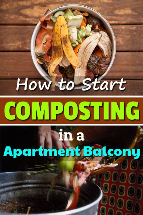 Apartment Composting, How To Start Composting, Start Composting, Make Compost, Composting 101, How To Compost, Compost Tumbler, Garden Cactus, Diy Compost