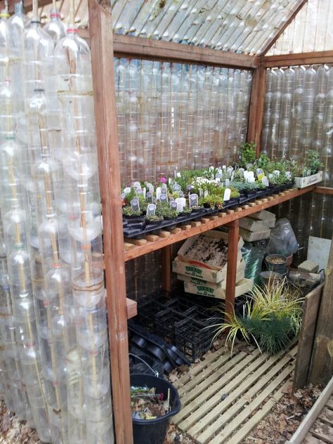 Greenhouse Room, Bottle Greenhouse, Rustic Greenhouses, Plastic Bottle Greenhouse, Cheap Greenhouse, Modern Greenhouses, Belton House, House Uk, Outdoor Greenhouse