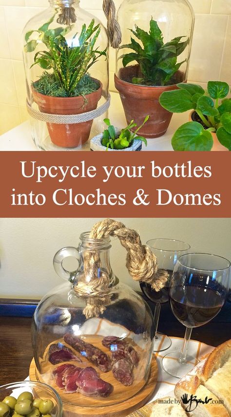 Glass Jugs Crafts, Glass Bottle Diy Projects, Upcycle Bottles, Container Crafts, Wine Bottle Project, Cactus Terrarium, Pickle Jar, Glass Bottle Diy, Recycled Glass Bottles