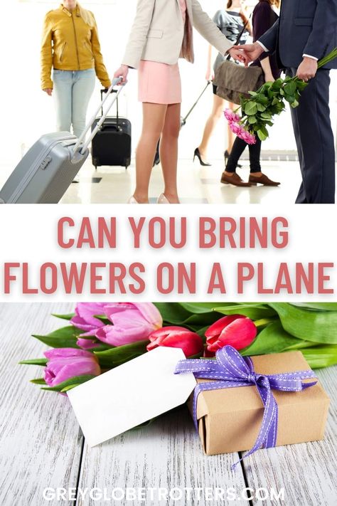 Want to take flowers on a plane? Checkout the TSA guidelines and exactly how to bring flowers on a plane - in your carry on or your checked luggage, plus tips on how to pack flowers for travel Carry On Bags, Checked Luggage, Airplane Travel, By Plane, A Plane, Carry On Bag, Cut Flowers, Fresh Flowers, Carry On