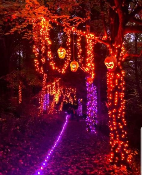 Celtic Festival, Halloween Room Decor, Halloween Facts, Purple Halloween, Costume Parties, Halloween Haunted Houses, Halloween Lights, Harvest Season, Fall Halloween Decor