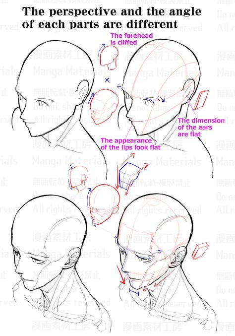 MangaMaterials＠TESCO on Twitter: "How to draw the face in high angle view : Awkward part of face and the correcting method②… " Výtvarné Reference, Drawing Heads, Manga Drawing Tutorials, 인물 드로잉, 캐릭터 드로잉, Different Angles, Anatomy Drawing, Figure Drawing Reference, Anime Drawings Tutorials