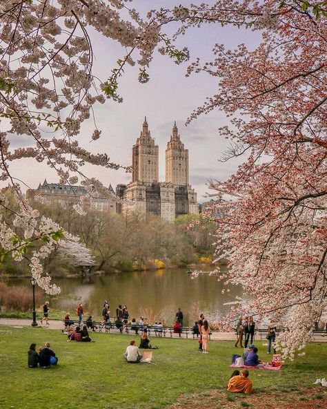 Spring In Central Park, Central Park Spring Aesthetic, Central Park In Spring, New York Facts, Central Park Spring, Central Park Aesthetic, Apple City, Nyc Spring, Urban Heat Island