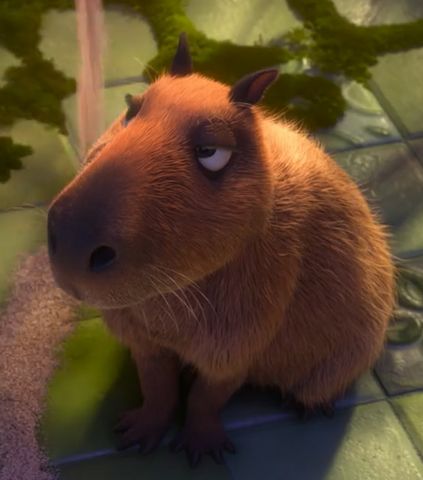 Chispi is a minor character who appears in Disney's feature film, Encanto. He is a capybara who is part of of Antonio's various pets in his room. Chispi has long brown fur and dark brown paws. He has brown eyes and dark brown ears. He will not be moved, as seen when Bruno is making his vision circle and has to go around him. Although some sources say the name "Chispi" means energetic and enthusiastic, Chispi is far from either. Encanto Capybara, Brown Animals, Geometric Shapes Drawing, Funny Animal Photos, Minor Character, Brown Fur, Cute Cartoon Drawings, Mini Drawings, A Minor