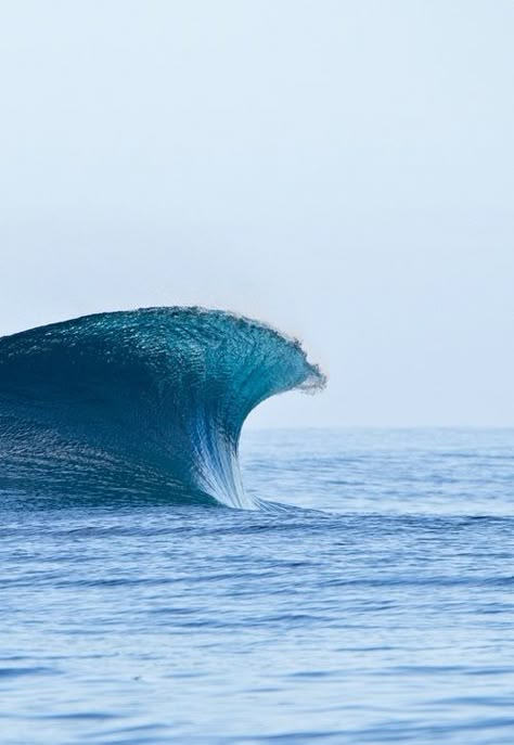 Big Wave Surfing, Image Nature, Surfing Waves, Water Waves, Big Waves, Surfs Up, Sea And Ocean, Ocean Beach, Tahiti