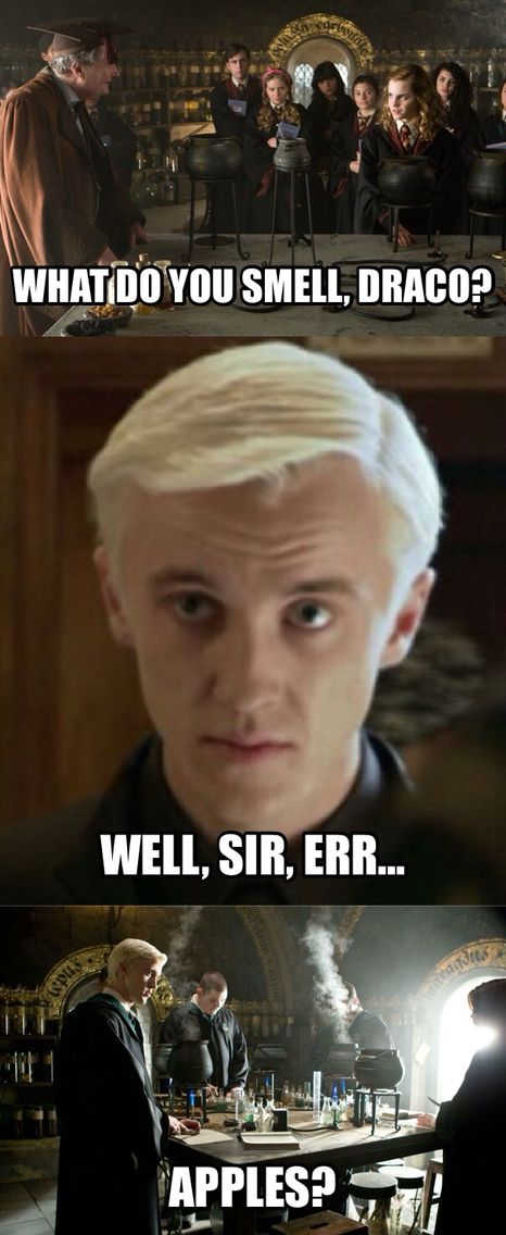 Drapple❤️ Draco Malfoy Memes, Weird Ships, Stile Harry Potter, Harry Potter Feels, Harry Potter Puns, Slytherin Harry Potter, Images Harry Potter, Harry Potter Ships, Harry Potter Draco Malfoy