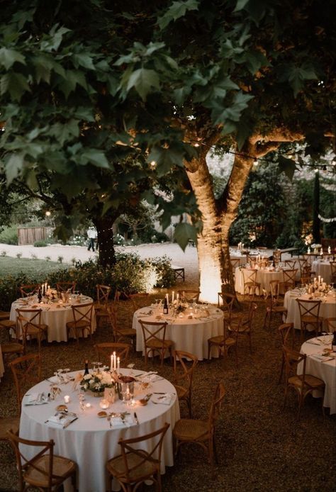 Backyard Woodsy Wedding, Wedding Whimsical Romantic, Dreamy Backyard Wedding, Outdoor Small Wedding Ideas, Vintage Wedding Venues Rustic, Country Side Weddings, Vintage Cottage Wedding, Small Garden Wedding Reception, Dreamy Wedding Aesthetic