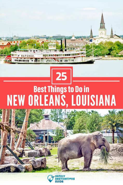 New Orleans Travel Guide, New Orleans Vacation, Louisiana Travel, Visit New Orleans, New Orleans Travel, Usa Travel Guide, New Orleans Louisiana, Travel Planning, North America Travel