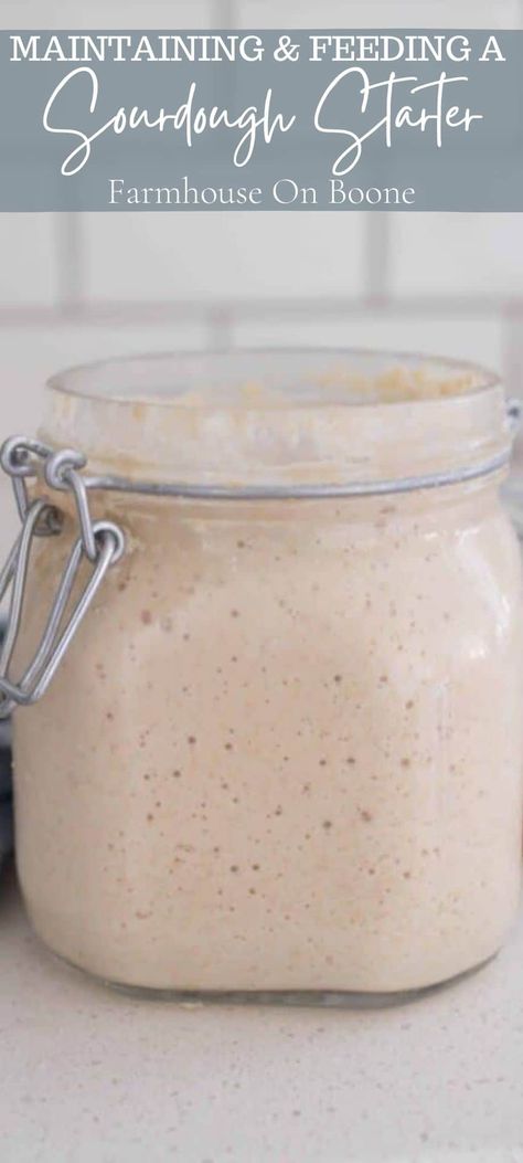 Join me as I teach you all about maintaining and feeding a sourdough starter. Every week I receive hundreds of questions about how to care for a sourdough starter, so I decided to add all the questions and answers into this post as a reference for those who are just starting out with sourdough. #farmhouseonboone #sourdoughstarter #feedingsourdoughstarter #sourdough Sourdough Starter White Flour, How To Grow Your Sourdough Starter, How To Add Sourdough Starter To Recipes, Refrigerating Sourdough Starter, Basic Sourdough Starter, Feeding A Sourdough Starter, Recipes Made With Sourdough Starter, Sourdough Starter 101, How To Start Sour Dough Starter