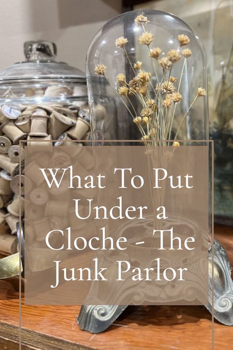 Do you ever wonder what to put under a cloche? If so, then this is the perfect place to find out! With their unique selection of vintage treasures and eclectic finds, you are sure to find inspiration for what to put under your cloche. Ideas For Cloche, Vintage Cloche Decor, Farmhouse Cloche Ideas, Glass Bell Jar Ideas, How To Make A Cloche, Spring Cloche Ideas Vignettes, Cloche Styling Glass Domes, Metal Cloche Decor, Cloche Bell Jar Ideas