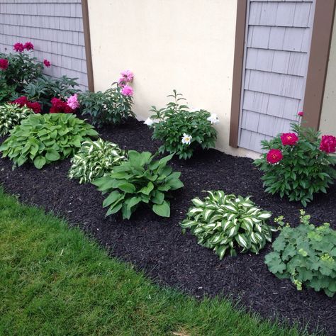 Lake peonies & hostas - Vermilion Small Front Porch Flower Bed, Front Yard Landscaping Peonies, Peonies Landscaping Front Yards, Peonies And Hostas, Hydrangea And Hosta Flower Bed, Peonies Garden Landscaping Front Yards, Peonies And Hydrangeas Landscaping, Peonies Front Yard, Landscaping With Hostas