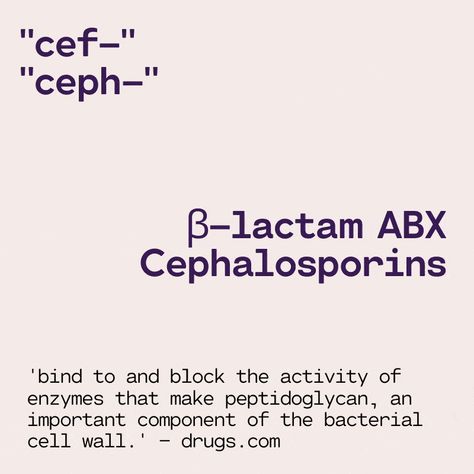 cephalosporins School Images, Cell Wall, Pharmacology, Nursing School, Math Equations