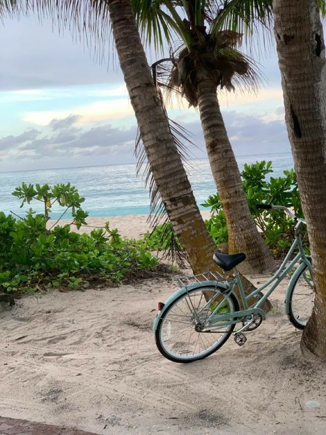 Beach Bike Aesthetic, Seychelles Aesthetic, Beach Episode, Exotic Outfits, Morning Ride, Seychelles Islands, Filler Photos, Tropical Holiday, Morning Sunrise