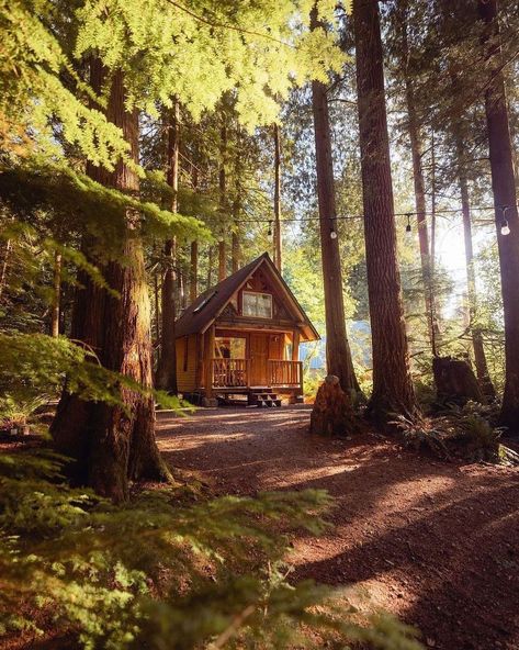 Sisterhood Retreat, Cozy Log Cabin, Summer Cabin, Cabin Aesthetic, Secluded Cabin, Forest Cabin, Off Grid Cabin, Little Cabin, Small Cabin