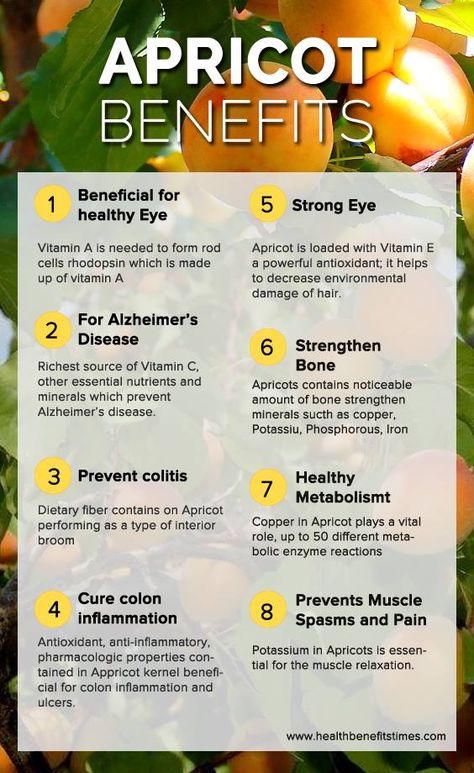 Benefits Of Apricots, Health Benefits Of Apricots, How To Eat Apricot Seeds, Apricot Kernels Benefits, Dried Apricots Benefits, Apricots Benefits, Apricot Seeds Benefits, Apricot Oil Benefits, Apricot Health Benefits