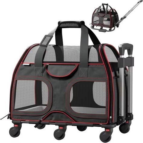 KATZIELA Luxury Rider Pro Removable Wheels & Double Telescopic Handle Cat & Dog Carrier, Black & Red - Chewy.com Dog Travel Carrier, Cat Carrier Bag, Pet Travel Carrier, Travel Carrier, Cat Carrier, Dog Carrier, Dog Travel, Business Class, Carrier Bag