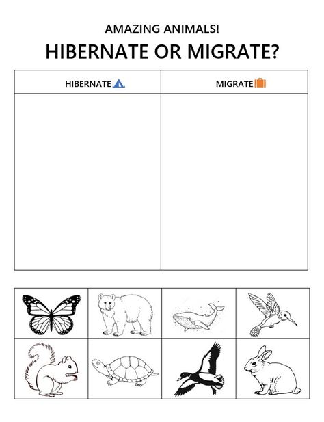 Migration Preschool, Hibernation Migration Adaptation, Migration Animals, Migrating Animals, Kindergarten Seasons, Hibernation Preschool Crafts, Migration Movie, Preschool Hibernation, Migration Activities