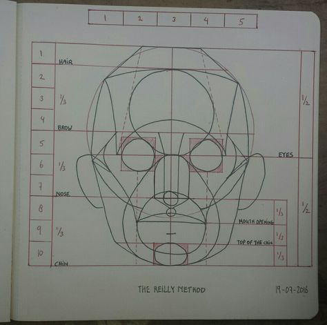 I used the Reilly method to create the face proportion and rythm. To help memorizing I also set up a grid layout, something I had seen in a book about the Loomis method. #reilly #method #loomis #head #portrait #proportion #face #rythm #planes Loomis Face Proportions, How To Draw Porpotion Face, Face Drawing Layout, Proko Anatomy Face, The Reilly Method, Reily Method Head, Head Drawing Method, Face Layout Drawing, Reilly Method Step By Step