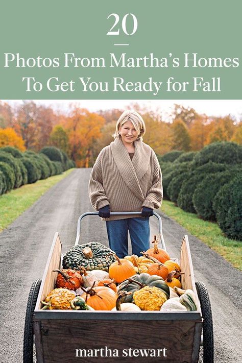 To help you welcome the arrival of fall, we're turning to Martha for all of our autumnal inspiration and will inspire you to add these fall ideas to your autumn to-do list. #marthastewart #fall #fallleaves #autumn Martha Stewart Fall, Outdoor Fall Decor Ideas, Harvest Decor, Thanksgiving Inspiration, Fun Fall Activities, Home Decor Ideas Living Room, Fall Bucket List, Fall Table Decor, Fall Outdoor Decor