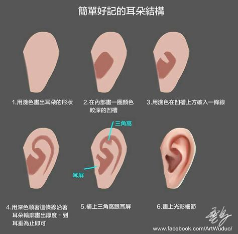 Ear Coloring Tutorial, How To Shade Ears, View From Above Reference, Ear Rendering, Ear Shading, Ear Drawing, Facial Expressions Drawing, Anatomy Sculpture, Ear Art